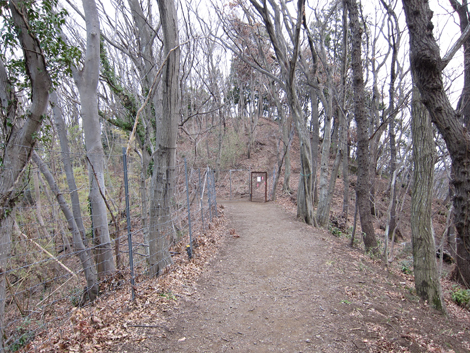 20190214hike (374)